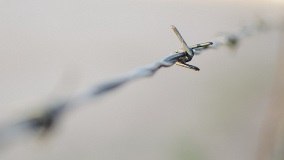 Outcomes for children in custody remain deeply concerning, says inspectorate