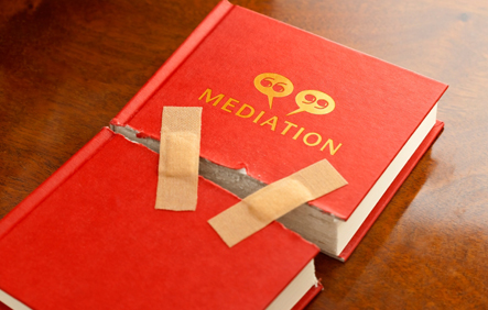 mediation_book