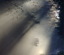 fog_light