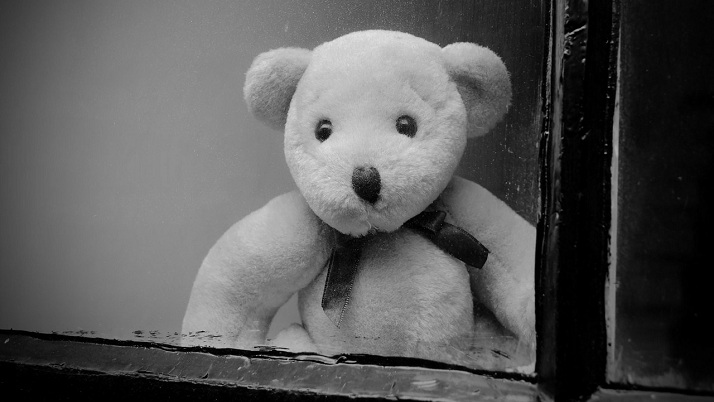 teddy