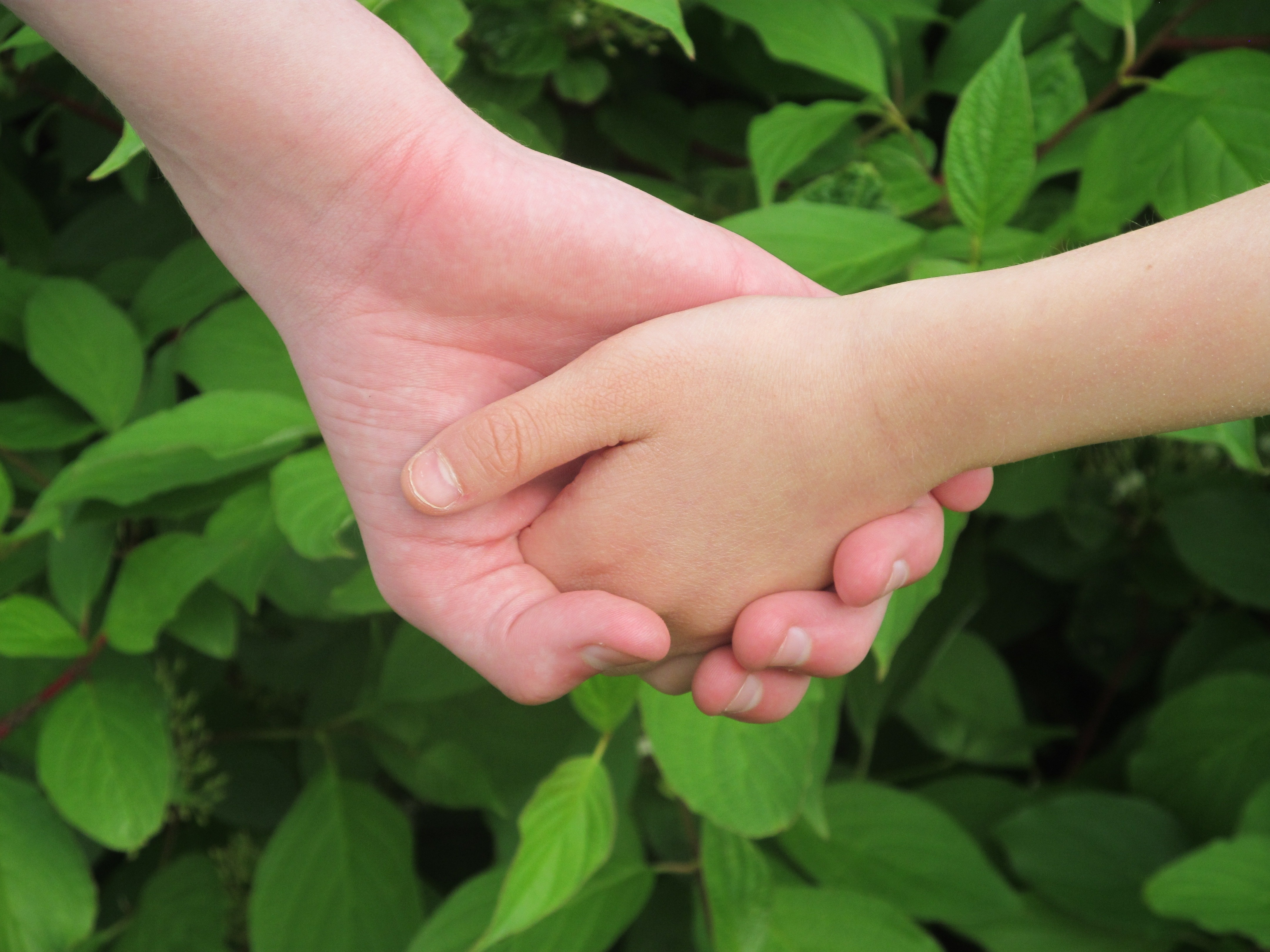 parent_child_hands