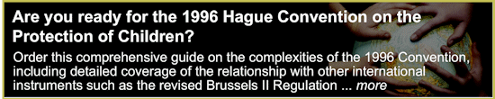 Hague banner